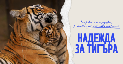 Стани закрилник на дивите животни